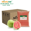 Pulpa de puré de guayaba roja congelada NFC