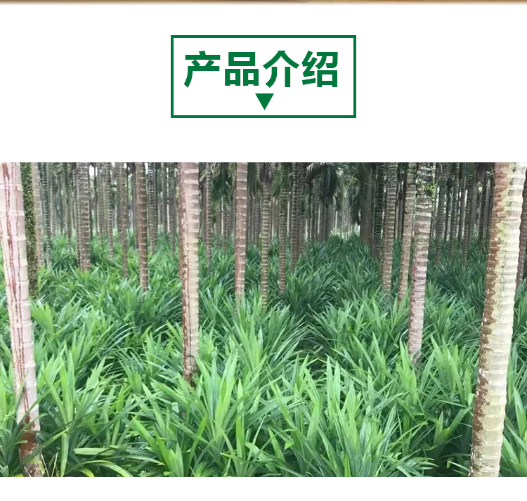 菠萝 A403 详情页 _02