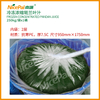 Jugo de hoja pandan concentrado congelado