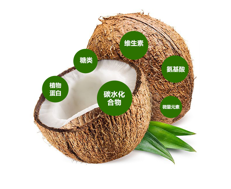 椰子油粉详情页 _04