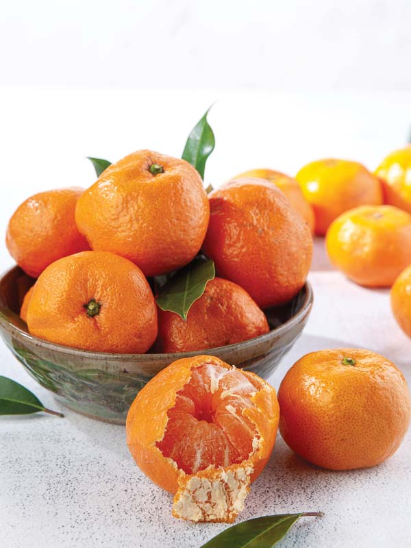 satsuma pelado