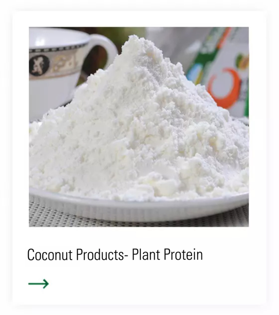 Coco de coco de icono de página de inicio