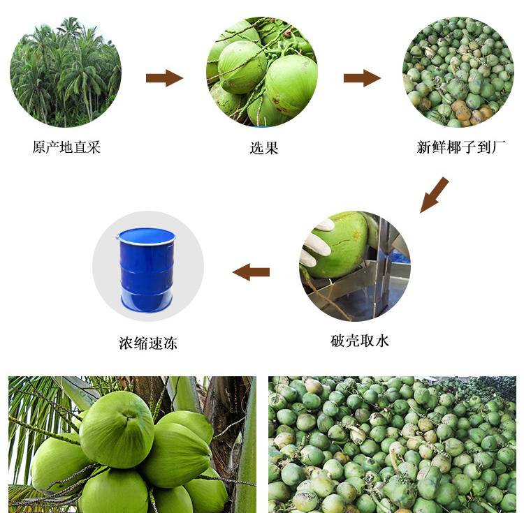 冷冻浓缩泰国香椰水详情页 _05