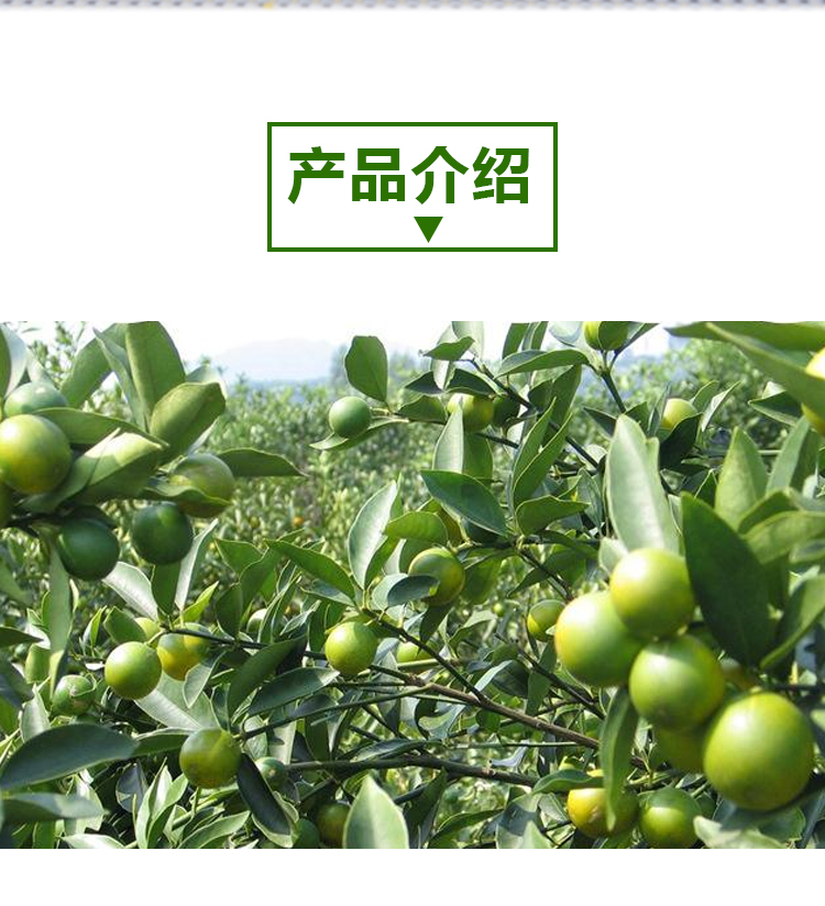 15kg 青金桔 A603 详情页 _02