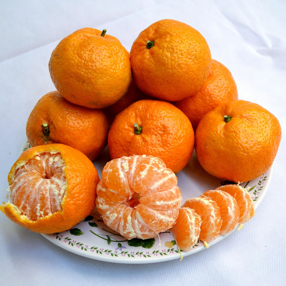 satsuma mandarín