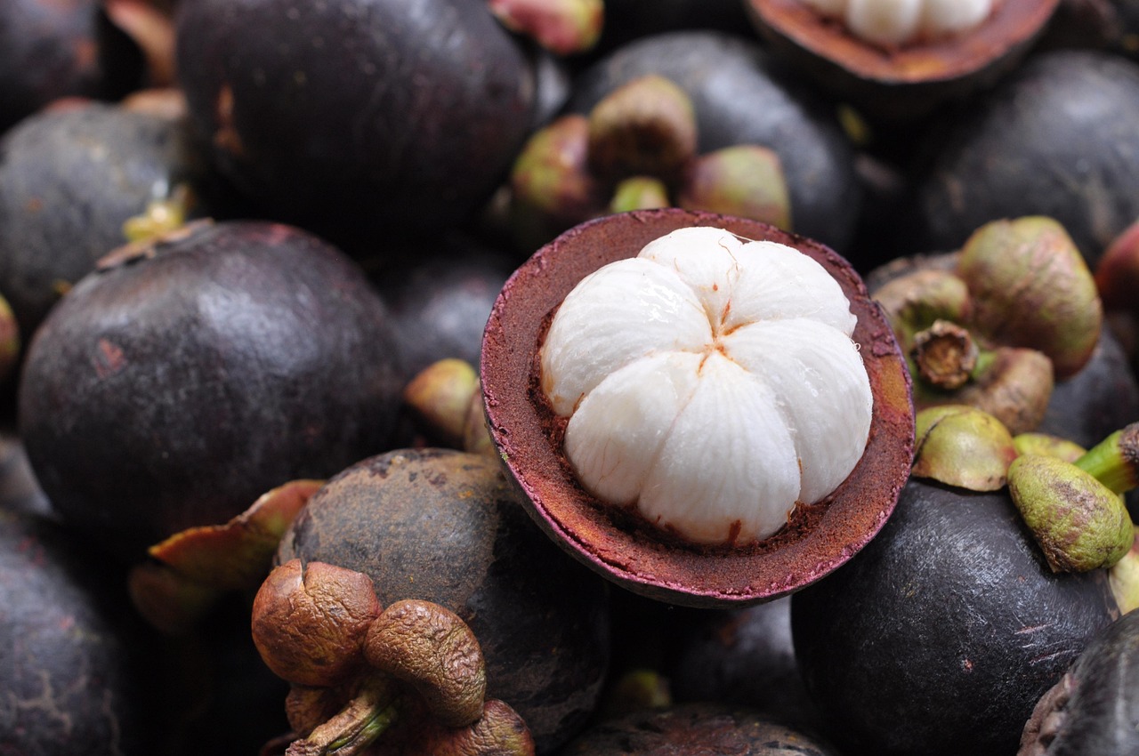 MANGOSTEEN-811154_1280 