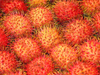 Polvo de Rambután (Lichee peludo)