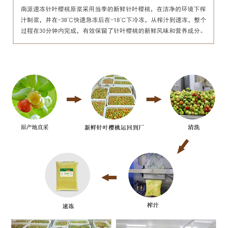 针叶樱桃原浆详情页 _04针叶樱桃