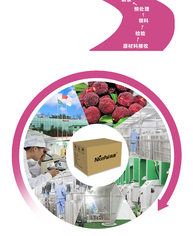 15 kg 杨梅原粉详情页 _15