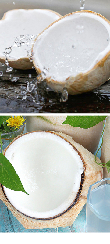 Carne de coco joven congelada (granero/ copra)