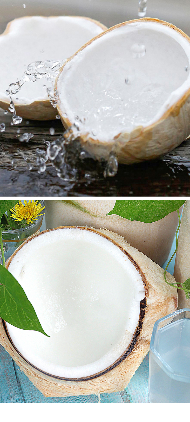Carne de coco joven congelada (granero/ copra)