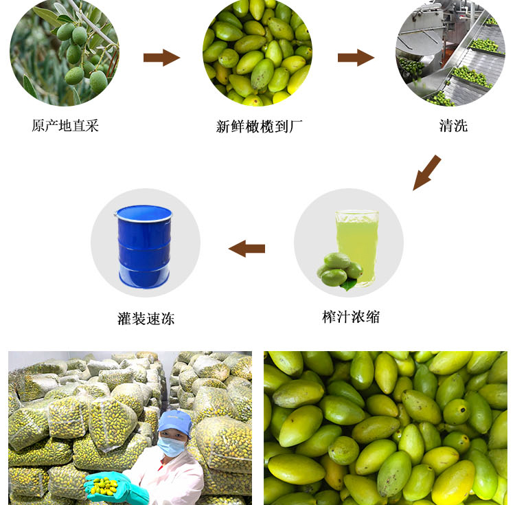冷冻浓缩橄榄汁详情页 _05