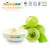 EMBLICA PODIENTE (AMLA / GOOSABELA INDIA)