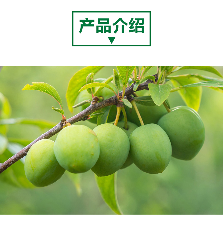 15 kg 青梅原粉详情页 _02