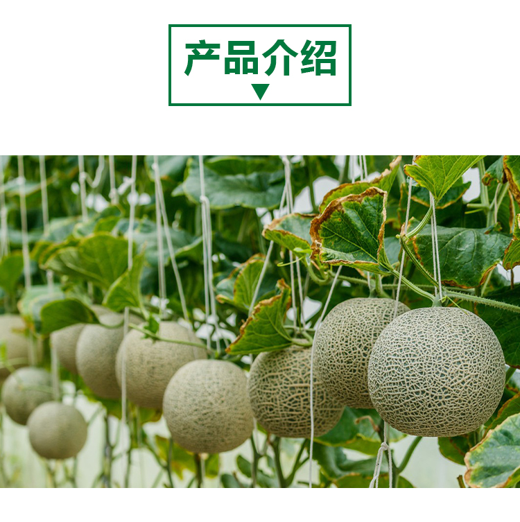 荔枝原粉详情页 _02