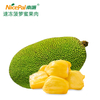 Carne de jackfruit congelada