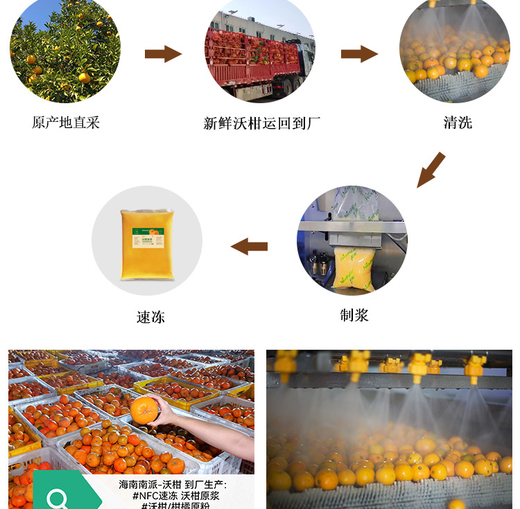 Pulpa de mandarina congelada NFC (Orah Mandarin)