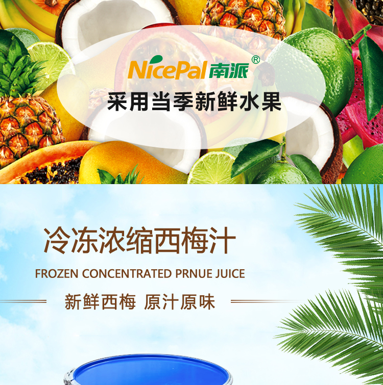 冷冻浓西梅汁详情页 _01