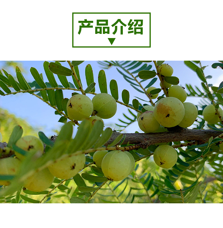 15 kg 余甘子原粉情页 _02 