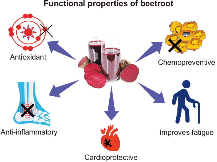 Propiedades funcionales de Beetroot