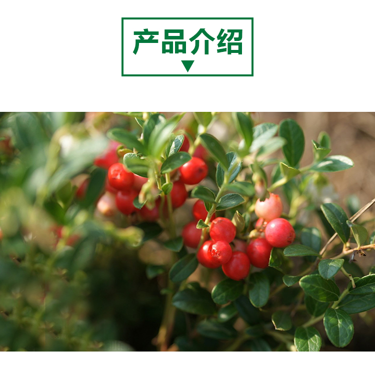 15kg 蔓越莓原粉详情页 _02