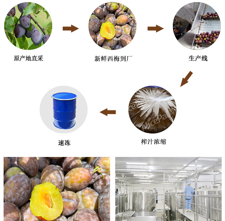 冷冻浓西梅汁详情页 _05