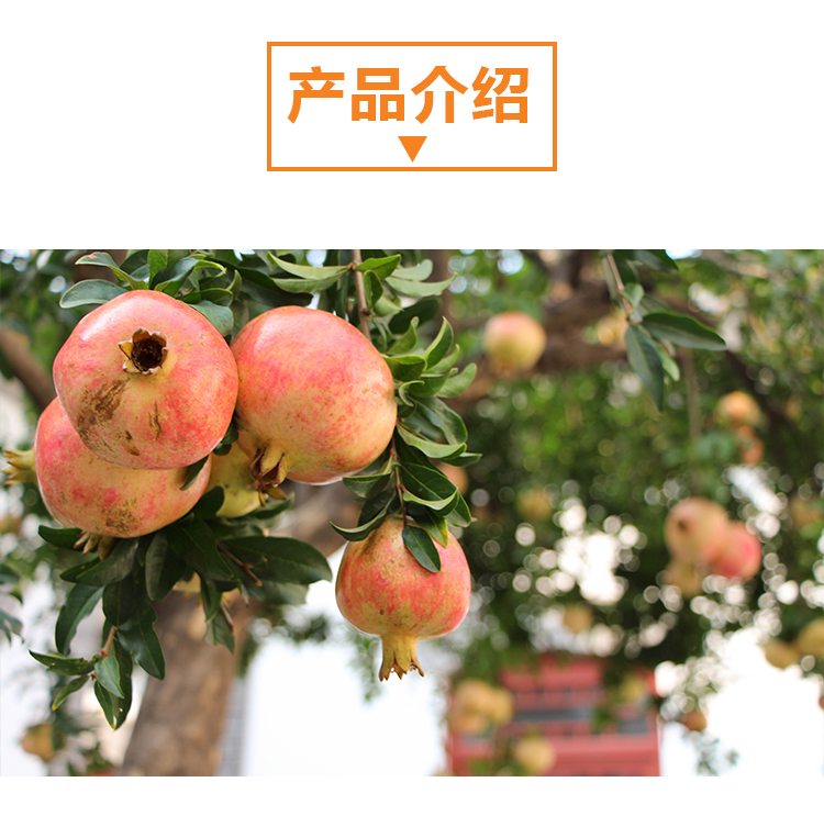 详情页 _02