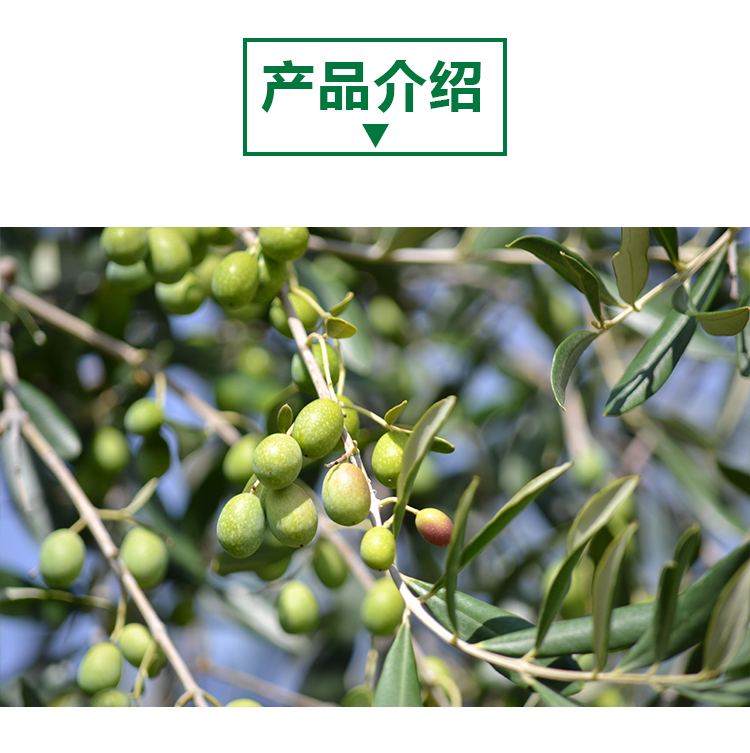 15 kg 橄榄原粉详情页 _02