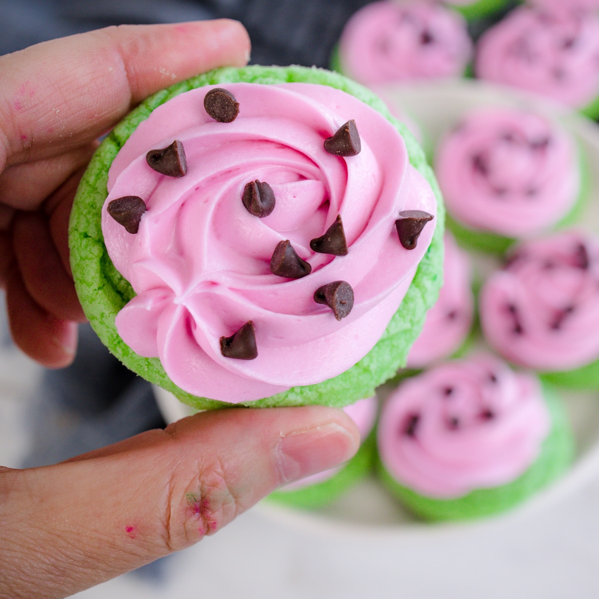 Sandía-cocookies_best-cookie-recipes-203