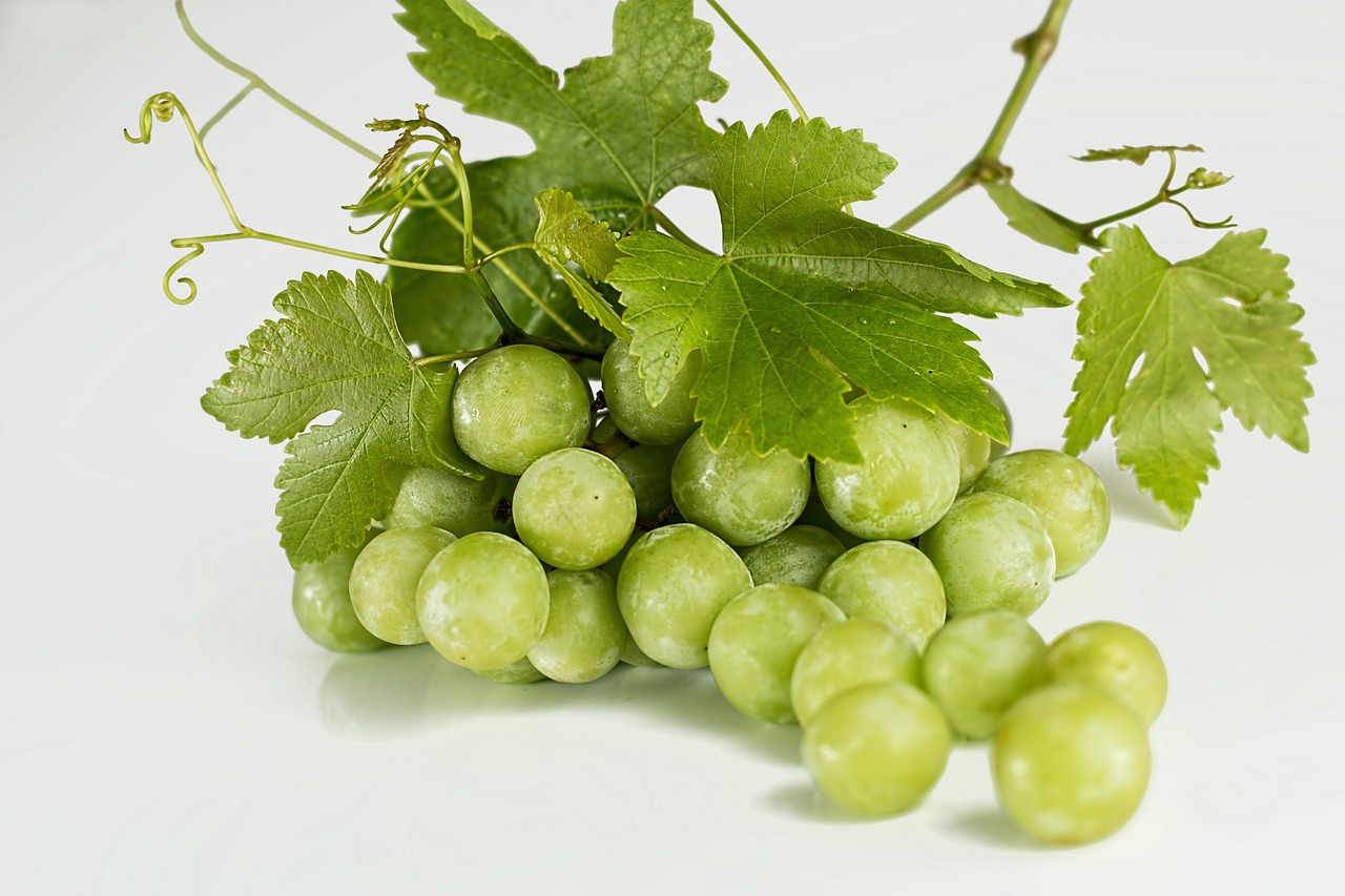 uvas-582207_1280