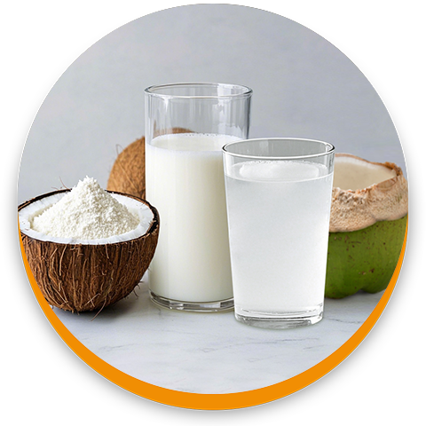 productos de coco