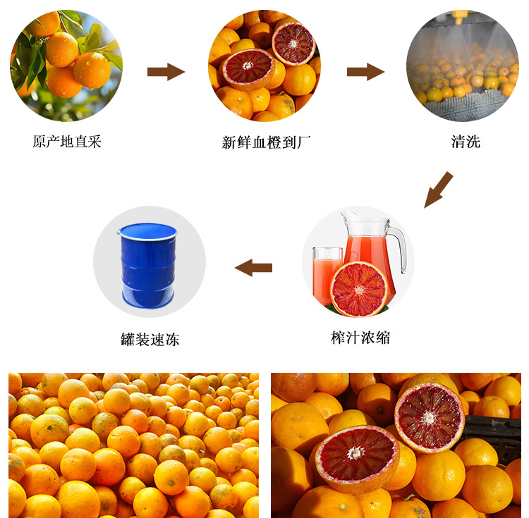 冷冻浓缩血橙汁详情页 _05