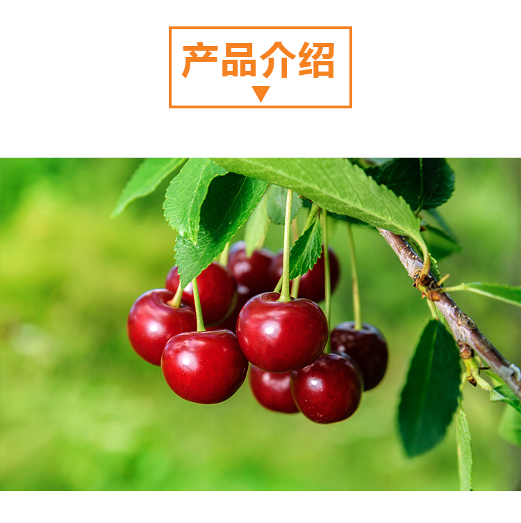 详情页 _02