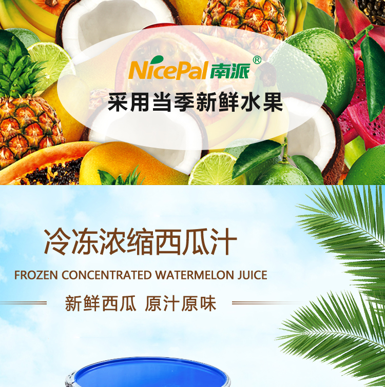 冷冻浓西瓜汁详情页 _01
