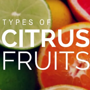 Screen Shot 2025-02-26 at 11.04.36_320_320.png