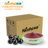 Polvo de bayas de acai 