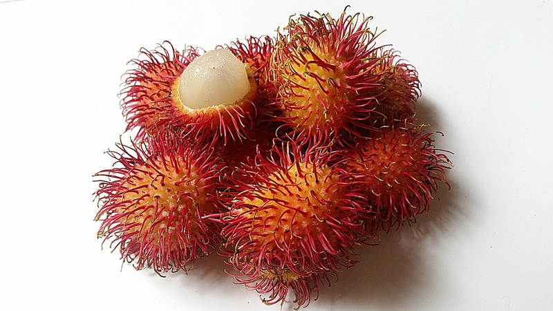 Pulpa Rambután congelada NFC (Lichee Hairy)