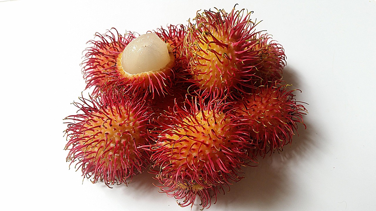 Pulpa Rambután congelada NFC (Lichee Hairy)